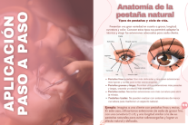 Fundamentos